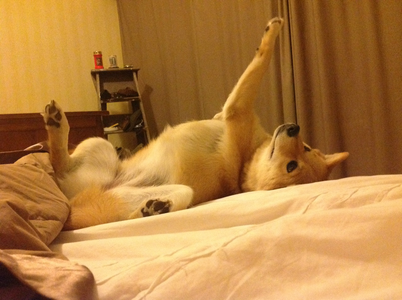 开云体育中国官网-WRC经典回顾：那些不可磨灭的辉煌瞬间，wrc经典视频