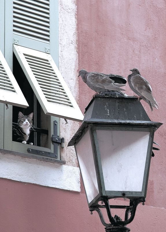 开云电竞-_太阳队全员发挥，力克强敌76人_，太阳队cam