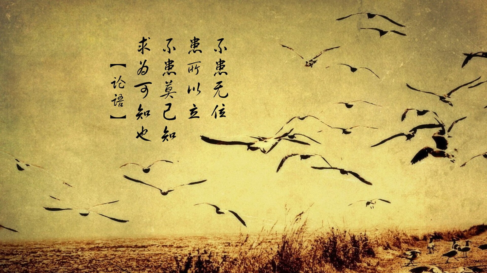 开云真人-全国青少年“篮球+文化”创意节在成都隆重举行，促进体育与文化融合