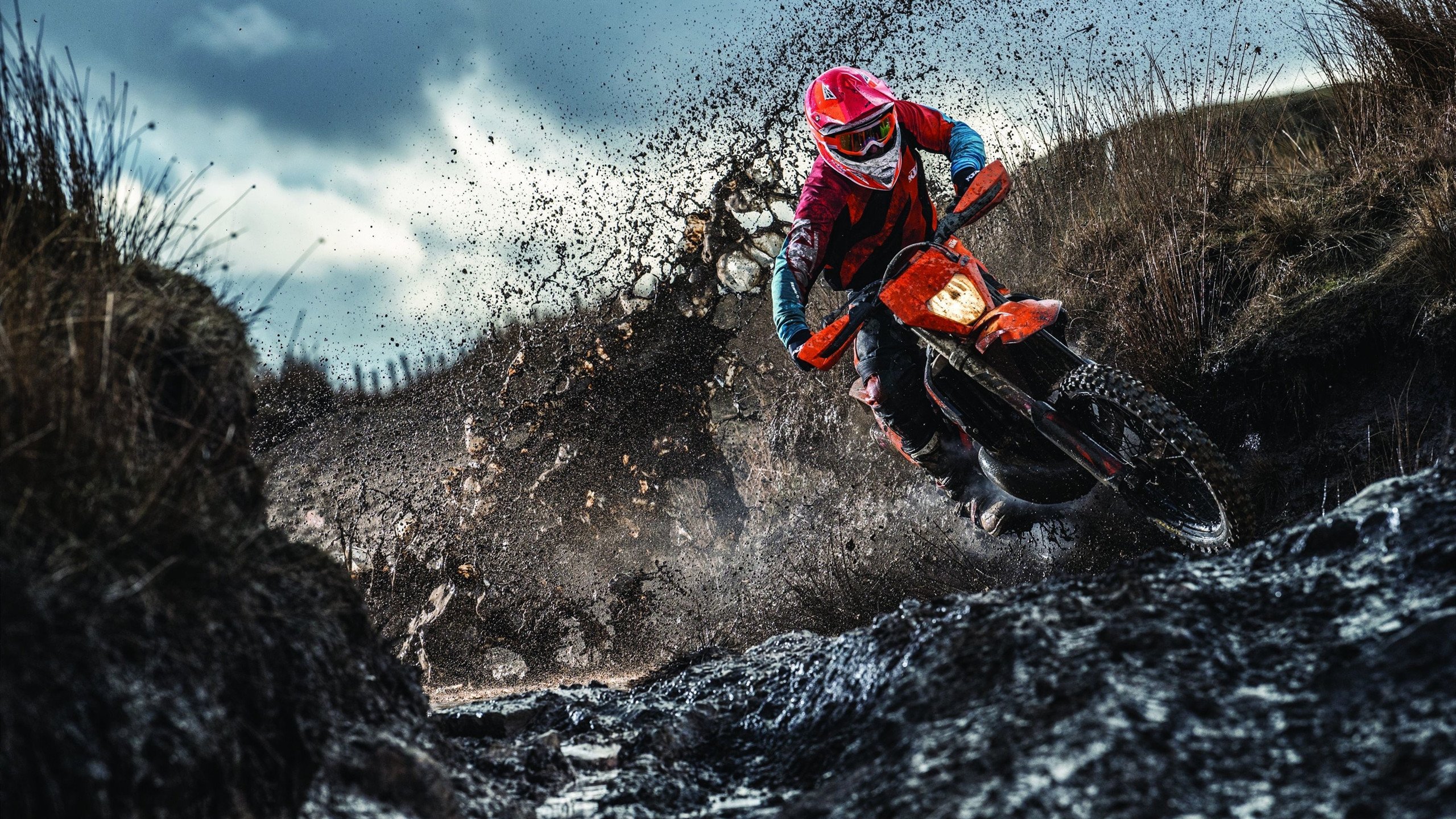 开云入口-“伊万·戈梅斯的全能表现，帮助美洲狮队在全球橄榄球舞台崭露头角”